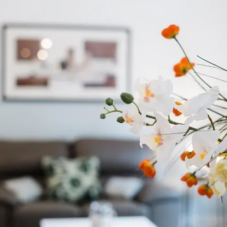 Apartment Quiet With Terrace In The Croix-rousse
